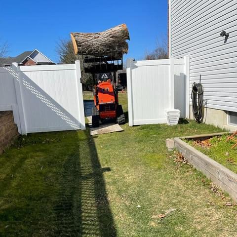 Martinez Tree Service LLC: Service Image-3 Martinez Tree Service LLC: Service Image-3