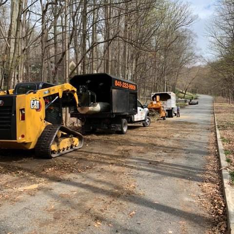 Martinez Tree Service LLC: Service Image-4 Martinez Tree Service LLC: Service Image-4
